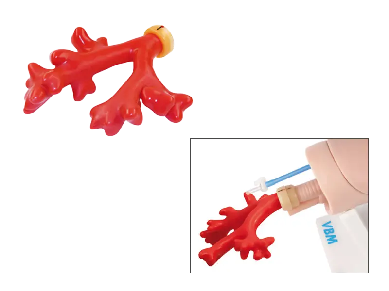 Atemwegssimulatoren / Bronchialbaum nach Dr. Nakhosteen / Zur Konnektion an Simulator „Bill III“ / 1St. p.P. / REF: 30-19-400